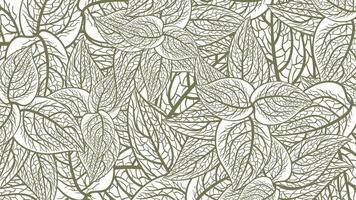 abstract hand draw leaf background . illustration vector