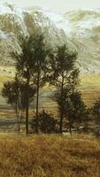 A scenic landscape with trees and mountains in the background video