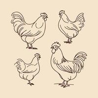 Playful Chickens- A Minimalist Study of Farm Life vector