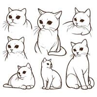 Playful Cats in Minimalist Line Art - A Collection of Unique Poses vector