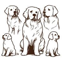 Stylish Minimal Dog Pose Illustrations vector