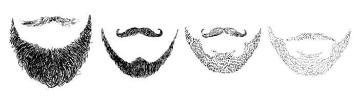 collection of masculine beards and mustaches in black and white. Hand-drawn outlines show a range of facial hair styles, from rugged stubble to handlebar. For grooming or barbershop themes vector