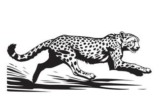 Cheetah running illustration vector