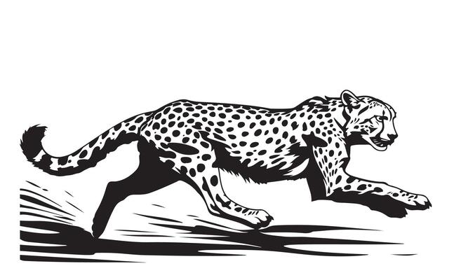 Cheetah running illustration