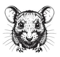 A black and white drawing of a mouse vector