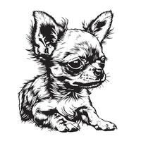 Funny puppy chihuahua. Contour vector