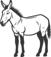 A donkey is standing in a black and white drawing vector