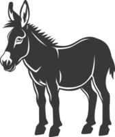 A donkey is standing in front of a white background vector