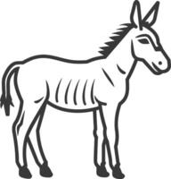 A donkey is standing in a line on a white background vector