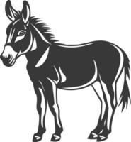 A donkey is standing in front of a white background vector