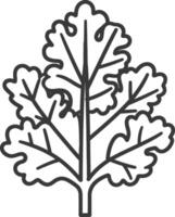A black and white drawing of a leaf vector