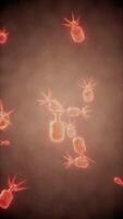 illustration de virus cellules ou les bactéries molécule en dessous de microscope video