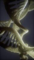 loop double helical structure of dna strand close-up animation video