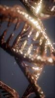 double helical structure of dna strand close-up animation video