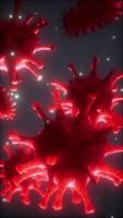 Bacteria virus or germs microorganism cells under microscope with depth video