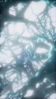 Journey through a neuron cell network inside the brain video