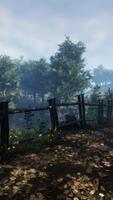 A fenced-in area with trees in the background video