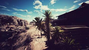 Desert scene with spiky plants and rustic structures under blue sky video
