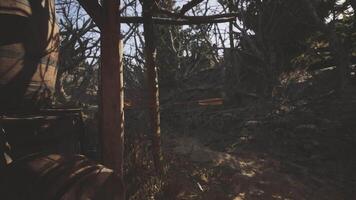 Mysterious wooded area with dilapidated structures during daylight hours video