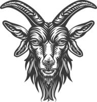 Goat head with horns and horns on a white background vector
