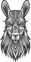 A llama head with tribal patterns on it vector