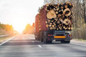 A timber semi-trailer truck transports timber logs along an asphalt road against a spring sunset background. Logging, copy space for text, industry photo