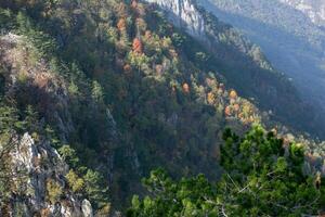 A scenic autumn mountain landscape showcasing vibrant foliage, symbolizing the natural beauty of changing seasons and ecological diversity photo