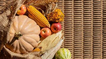 A rustic autumn harvest display featuring pumpkins, apples, and corn on a wicker basket, ideal for Thanksgiving celebrations photo