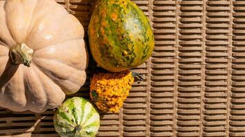 Colorful gourds and pumpkins arranged on a wicker surface evoke an autumn harvest theme, ideal for Thanksgiving celebrations photo