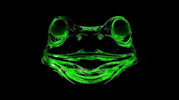 Neon frame effect, frog with bulging eyes and a happy smile on black background video