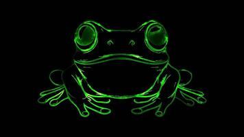 Neon frame effect, frog with bulging eyes and a happy smile on black background video