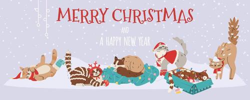 Merry Christmas and a happy new year horizontal banner with funny cats sitting, sleeping and playing under snowfall. vector