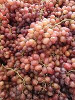Red grapes are a fruit that does not make you fat because they are low in calories and high in fiber. photo