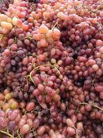 Red grapes are a fruit that does not make you fat because they are low in calories and high in fiber. photo