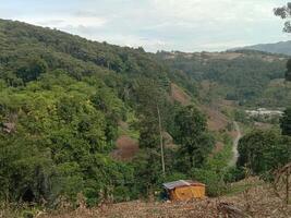 A small hut sitting on top of a hill photo