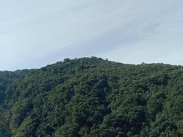 A view of the mountains from the top of a hill photo