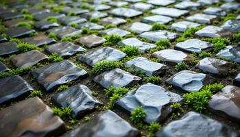 Cobblestone Surface with Moss Between Stones photo