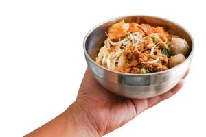 chicken noodle with meat balls and vegetables photo