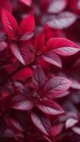 Close-up of red leaves with detailed textures. Macro vertical photography capturing vibrant foliage and natural patterns photo