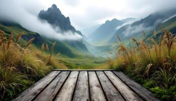 Wooden walkway in the mountains with tall grass photo