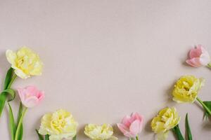 Pink and yellow tulips with pink hearts on a cold beige background. Flat position, top view. Backgrounds for Valentine's Day, Spring Day or Easter photo