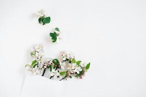 Apple tree flowers in a shopping bag on a white background with copy space. Top view and flat lay. The concept of spring discounts in stores. photo