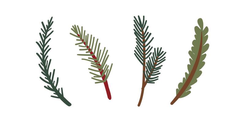 hand drawn winter elements with leaf, fir, pine branches, berry. Christmas floral collection for invitations, greeting card, textile, fabric, posters.