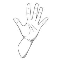Palm hand number five gesture black and white color illustration vector
