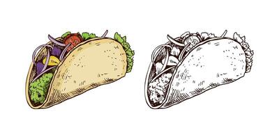 Hand-drawn sketch of taco on white background. Fast food vintage illustration. Element for the design of labels, packaging and postcards vector