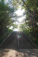 A set of stairs leading up to a sunlit area photo