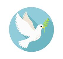 dove with an olive branch in its beak vector