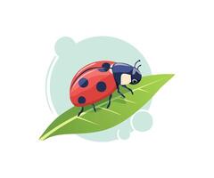 ladybug crawling on a leaf vector