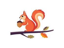 squirrel holding an acorn on a branch vector