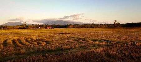 empty lawn and mountain range background at sunset photo